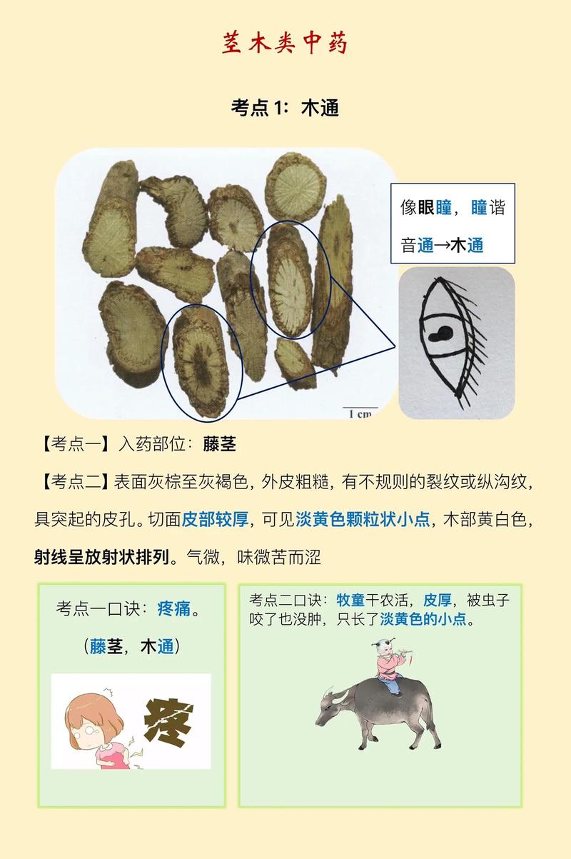 恒昌印度代购希爱力是真的吗？避坑指南与正品鉴别全攻略